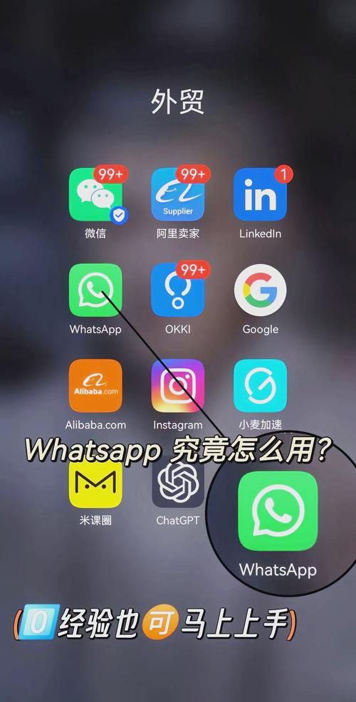 whatsapp接码、whatsapp接码平台下载安装