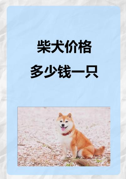 柴犬币价格今日价格行情、柴犬币今日价格行情000032是美元还是人民币