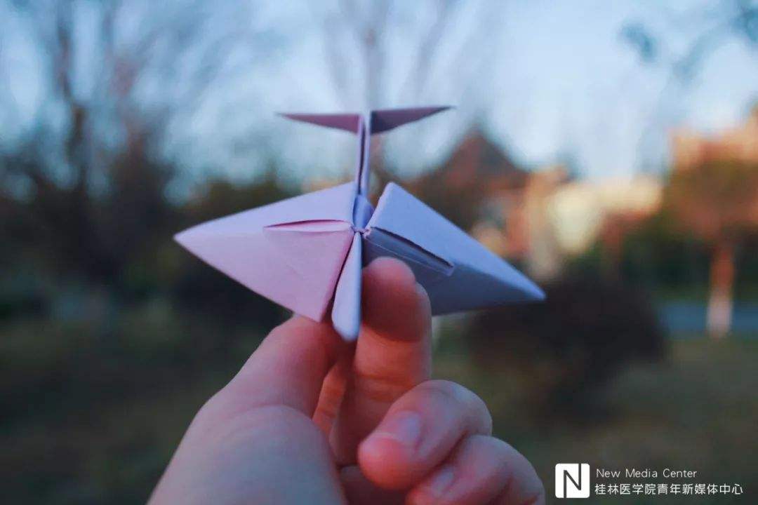 不一样的纸飞机[不一样的纸飞机怎么做]