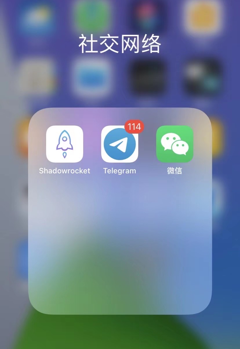 国外聊天软件小飞机[国外聊天软件小飞机图标]