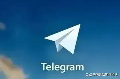 纸飞机app下载中文版安卓的简单介绍