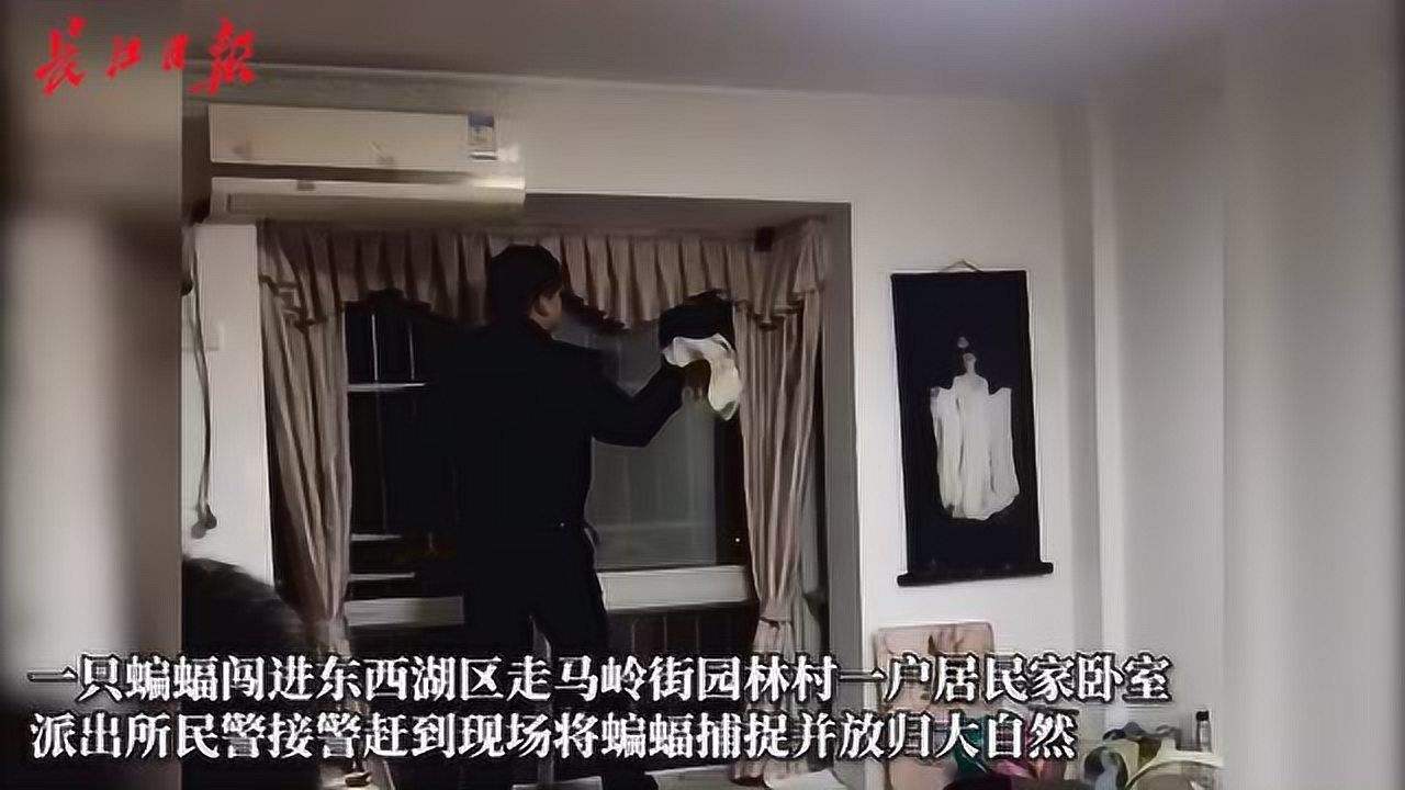 蝙蝠软件会被警察监控吗[蝙蝠app会被公安定位吗]