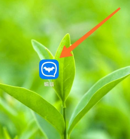 蝙蝠社交官方免费下载[蝙蝠聊天app下载官网]