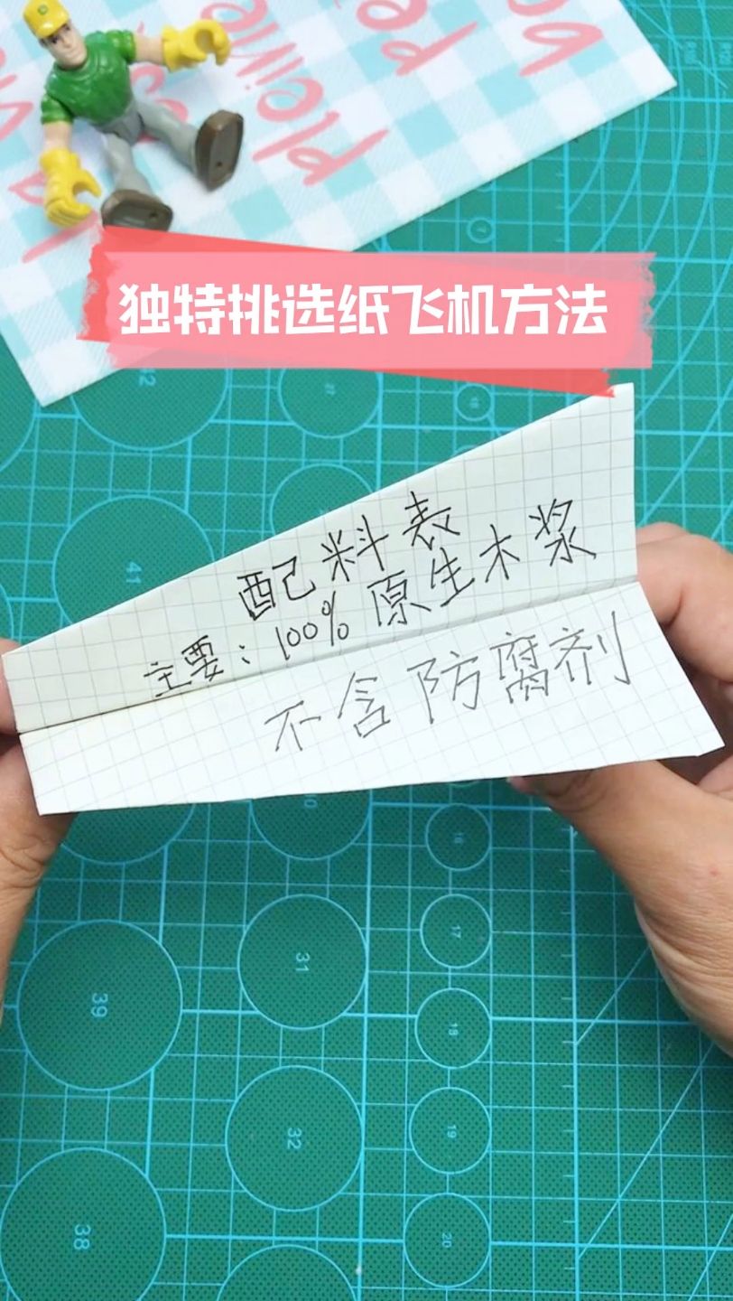 纸飞机是啥意思[网上说的纸飞机是什么意思]