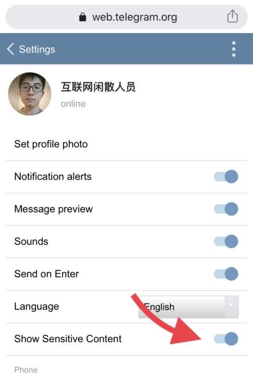 iphonetelegram怎么改语言的简单介绍