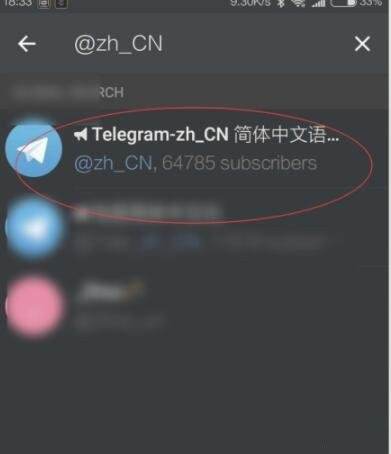 telegreat苹果改中文[苹果手机telegreat中文版下载]