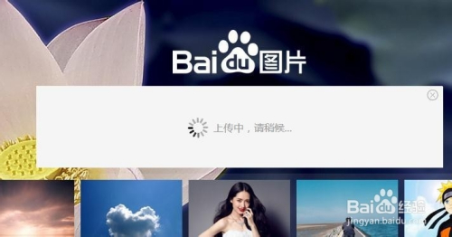 如何搜索图片出处[怎么用图片搜索出处]