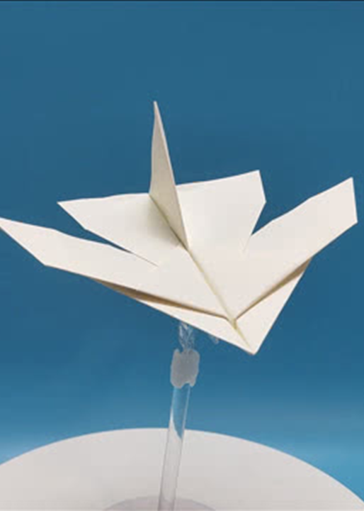 纸飞机加速器[纸飞机加速器app]