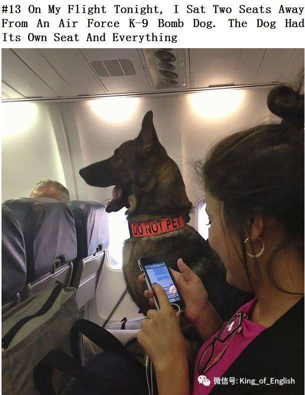 飞机上能不能聊天[飞机上可以上网聊天吗]