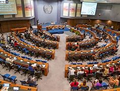 [联合国的predecessor]联合国的国际公务员主要分为____种?