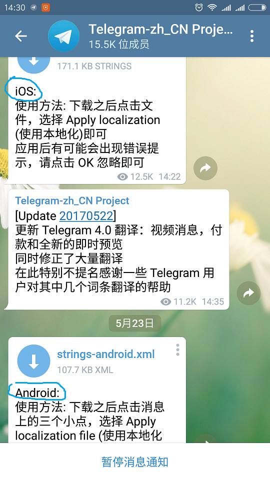 telegram这个怎么用的简单介绍