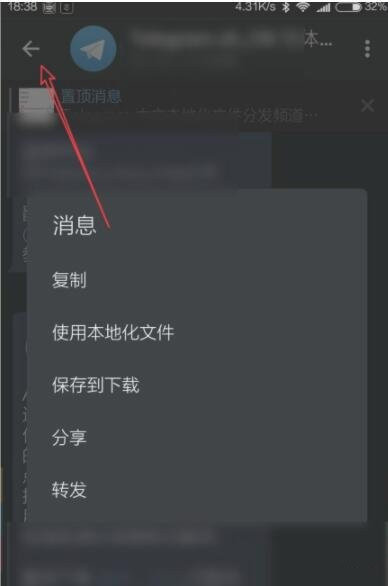 [telegreat最新版本下载]telegreat中文手机版下载