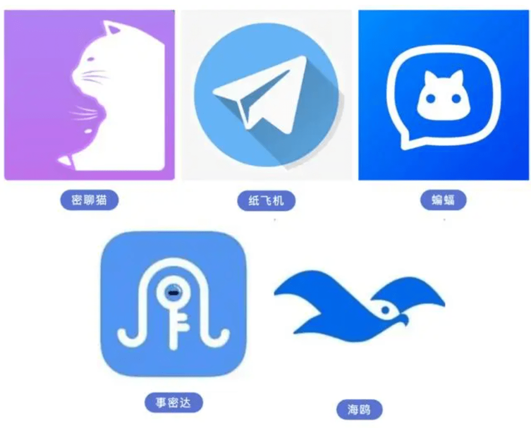 关于纸飞机app官网下载62位版本的信息