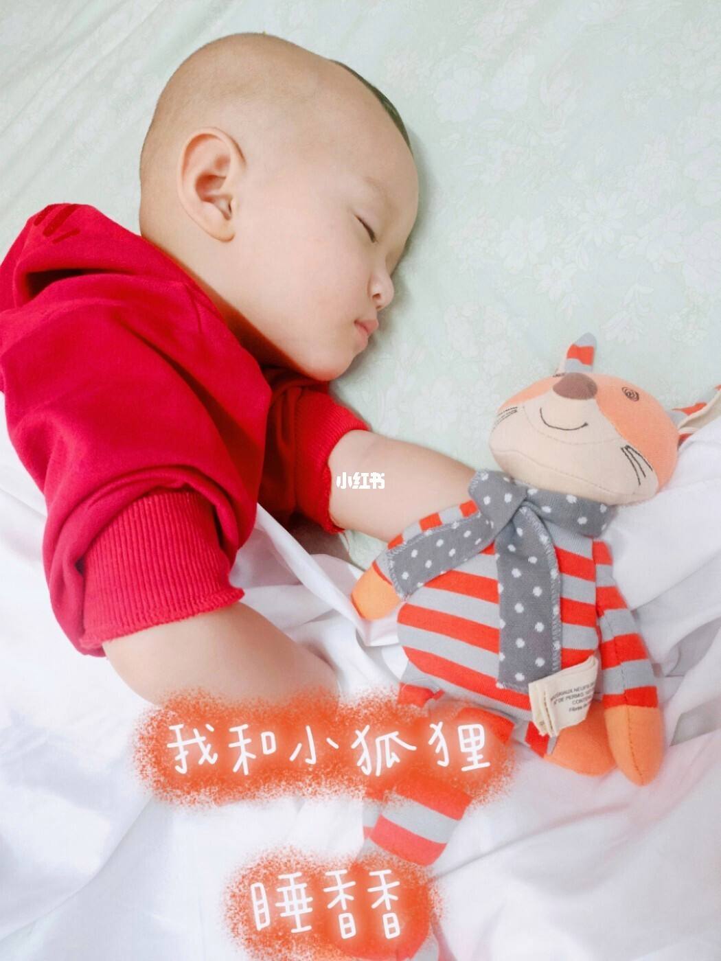小狐狸苹果版-小狐狸软件苹果版