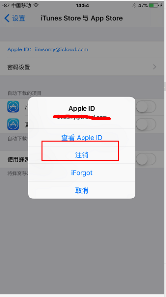 苹果id变成英文怎么改为中文-苹果手机的id变成了英文怎么调成中文