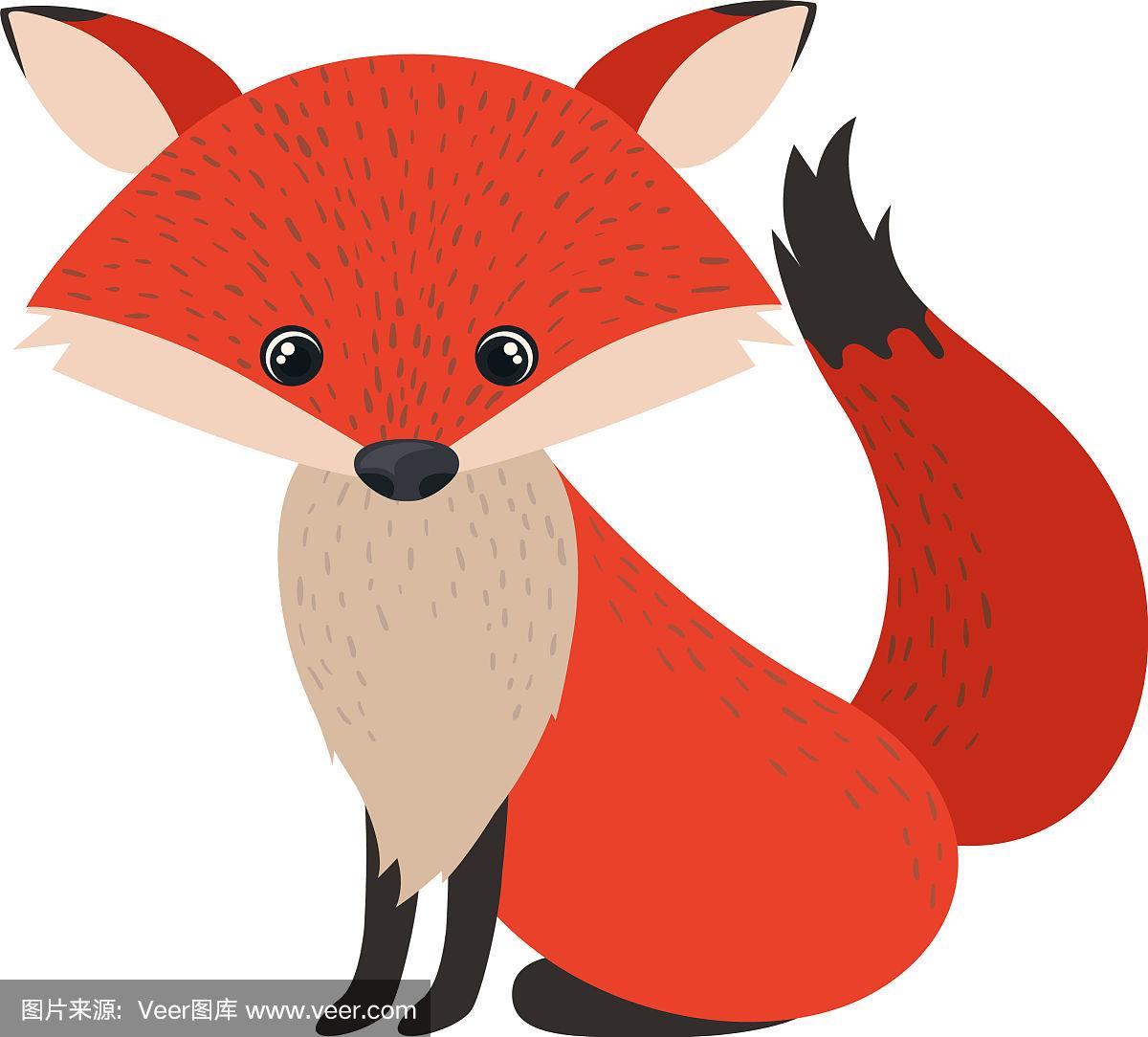 红色的狐狸,红色的狐狸毛是染色的吗