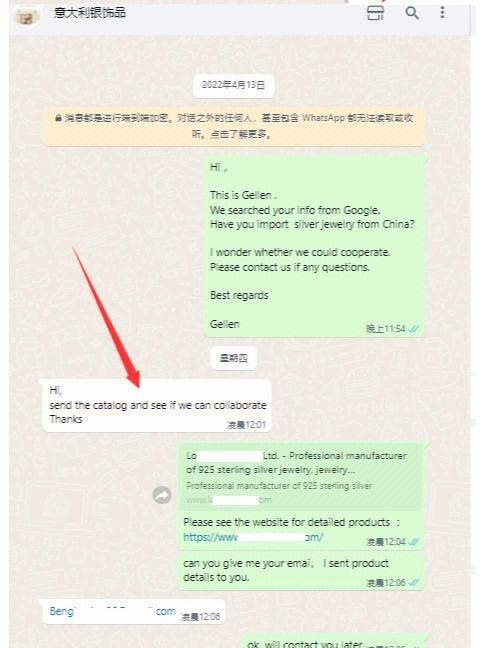 在国内whatsapp怎么用,国内whatsapp怎么用不了