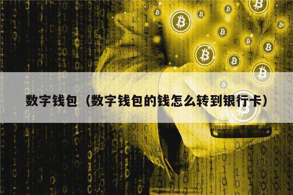 钱能钱包的钱被下载了,钱包这个软件贷款可不可靠