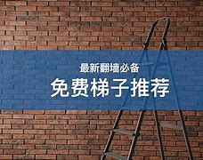 梯子vqn推荐、2020梯子推荐
