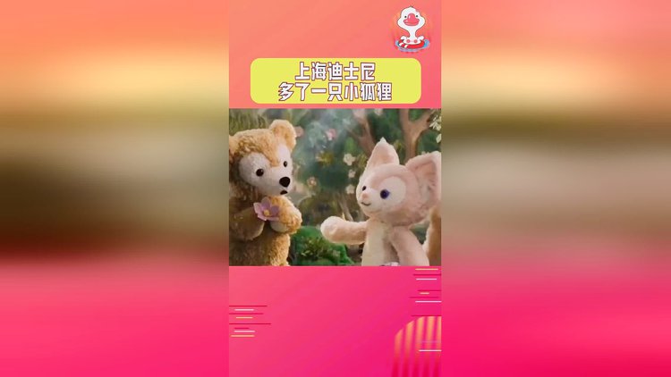 小狐狸钱包转账手续费、小狐狸钱包资金能找回来吗