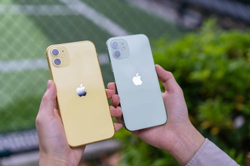 iphone不能下载浙政钉、苹果手机下载不了浙政钉怎么办