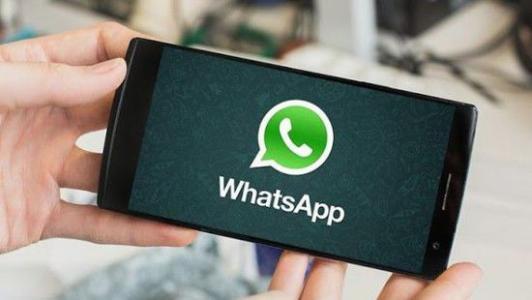 whatsapp无法送达对方手机、whatsapp无法发送短信至您的号码