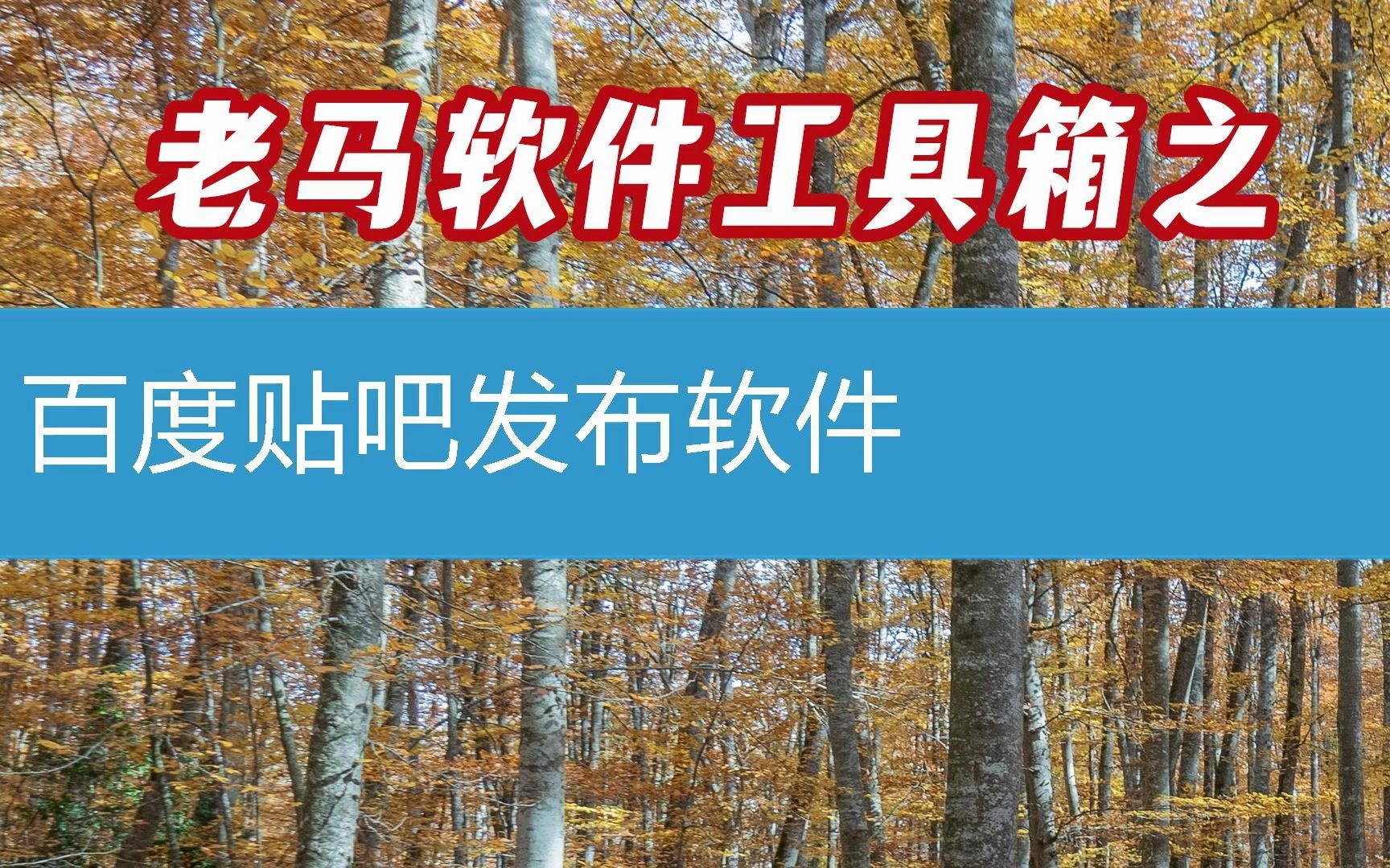 梯子软件哪个好用贴吧推荐、梯子软件推荐app 哪里有