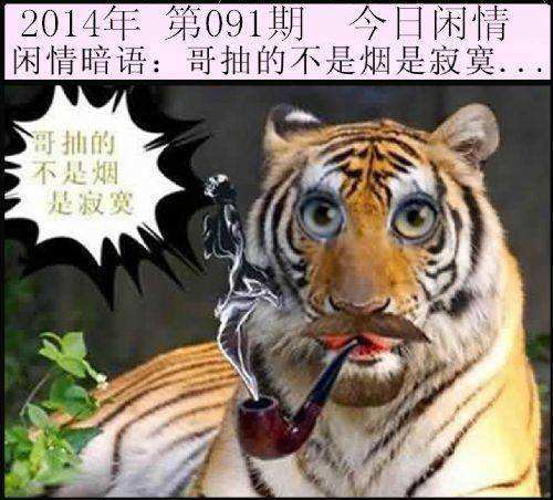 细羊足玄机猜一生肖、细羊捉玄机是什么意思