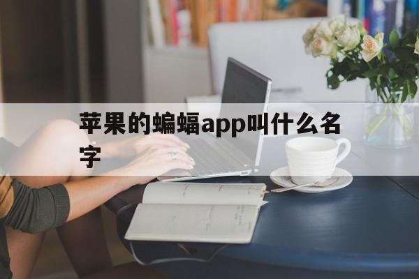 苹果的蝙蝠app叫什么名字[苹果手机蝙蝠的标志是什么软件]