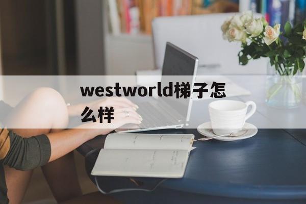 关于westworld梯子怎么样的信息